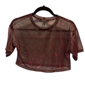 Shiny Mesh Short Sleeve Crop Top